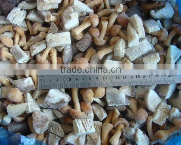 Whole IQF Shiitake Mushroom China Origin photo-4