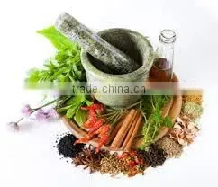Coriander Oil