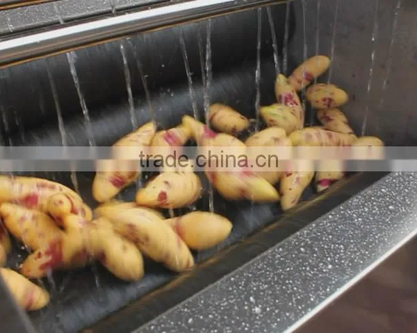 MSTP-80 Multipurpose Potato Washing and Polishing Peeling Machine photo-2