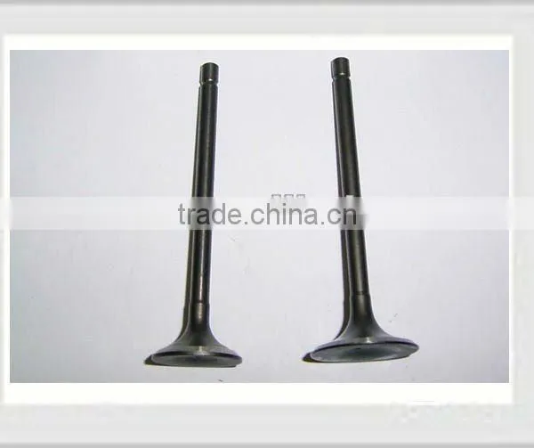 Motorcycle Engine Parts 50cc Engine Valves 110cc Engine Valve 125cc Engine Valve 150cc Engine Valve 250cc Engine Valve