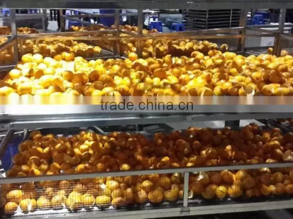 Multifunctional Best Seller Cassava Chip Drying Machine photo-4