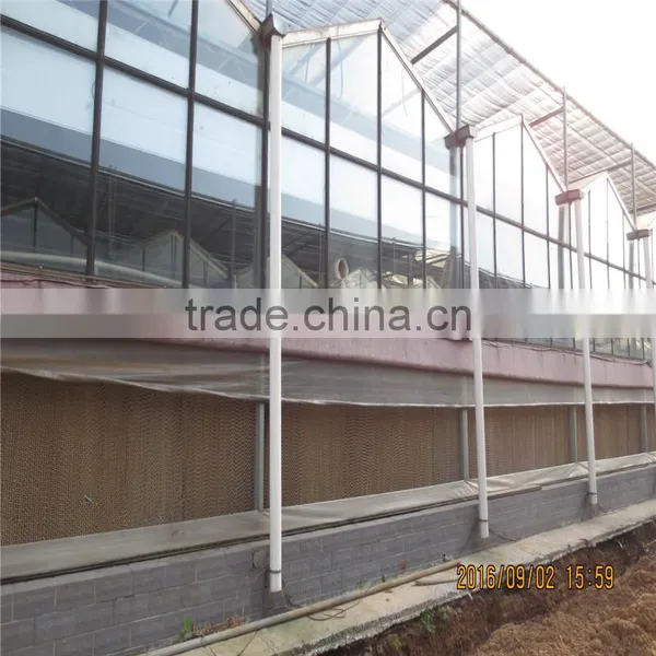 AL Frame Plastic Greenhouse With European Standart photo-5