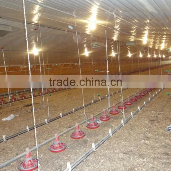 BT Factory Chicken Farming for Broiler Chicken photo-3