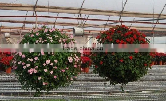 SOL 2015 Eco-friendly Green Wall Big Ball Planter Wholesale Plastic Hanging Basket Big Ball Planter photo-3