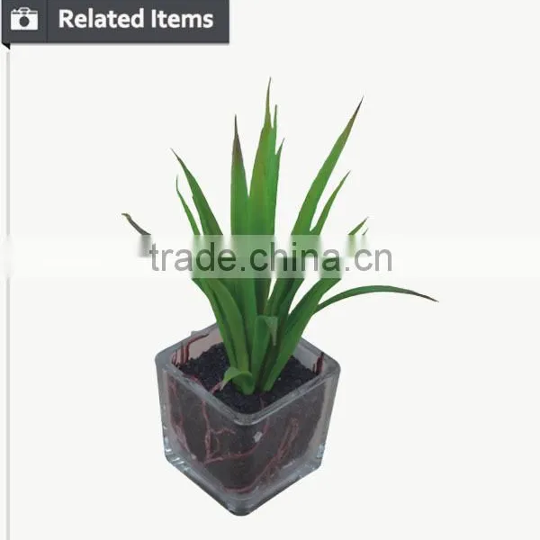 Customized Design Sweet Desert Rose for Table Decoration photo-4