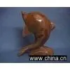 Dolphin Fish