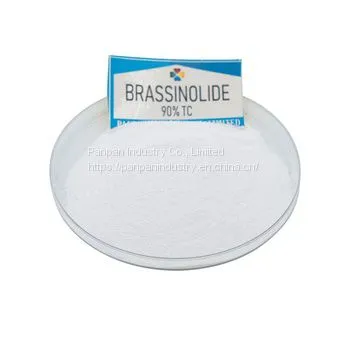 Agriculture Plant Growth Regulator Natural Pesticide Brassinolide 90%tc