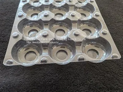 Plastic Packaging Thermoformed Blister Insert Trays photo-4