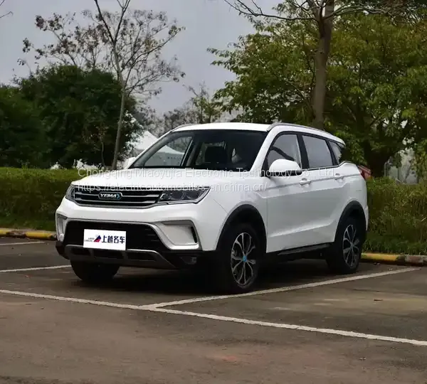 Alternative Fuel Vehicle Mustang Bojun EC60 China Factory Made EV Car 2022 SUV EV Cheap Best Price New Energy Vehicle photo-4
