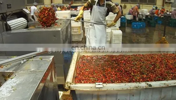 Cherry Stem Stalk Removing Machine Cherry Pitting Machine for Cherry Process Machine photo-4