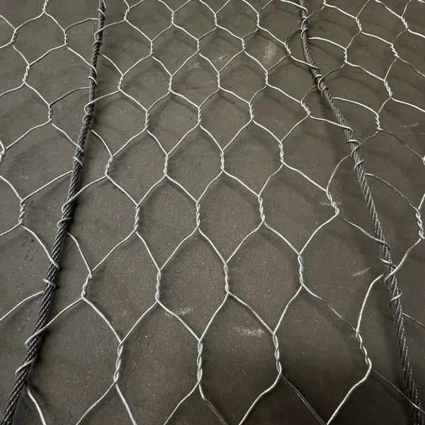 Factory Price 6*10cm Active Structural Defense Rockfall Netting Plain Weave Technique for Slope Stabilization Woven Mesh Size photo-4