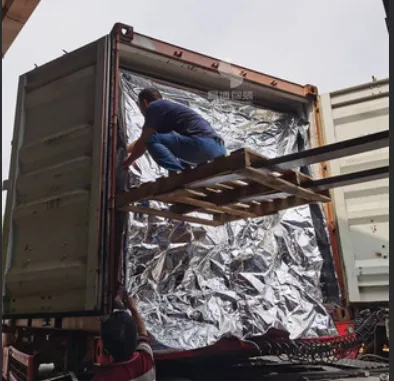China Supplier Container PE Dry Bulk Liner Bag for Agricultural Seed and Grain Storage photo-2