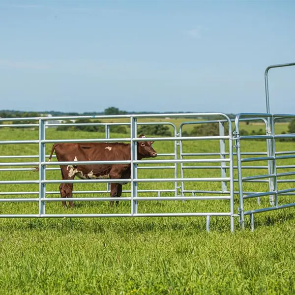 Load-Bearing Galvanized Cattle Panels - Durable Australia Standard Farm Equipment