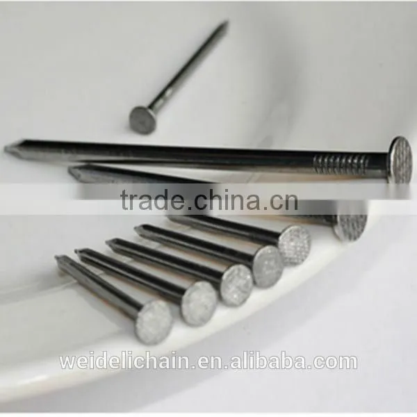 Galvanized Concrete Nail/Common Wire Nail / Roofing Nails photo-5