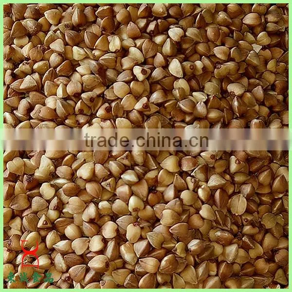 Common Cultivation Type Brown Color Roasted Buckwheat Wholesale photo-2