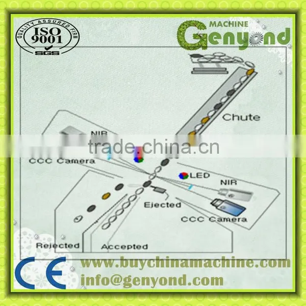 High Quality DATES Color Sorting Machine photo-2