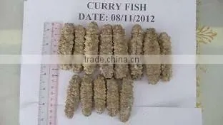 Curry Fish