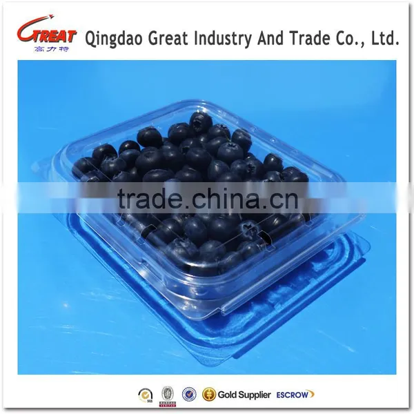 Plastic Fruit Packaging Blueberry Container photo-2