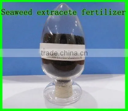 Seaweed Extracted Powder Fertilizer