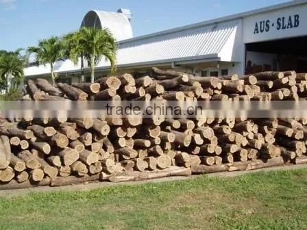 BUDDHA SANDAL LOGS