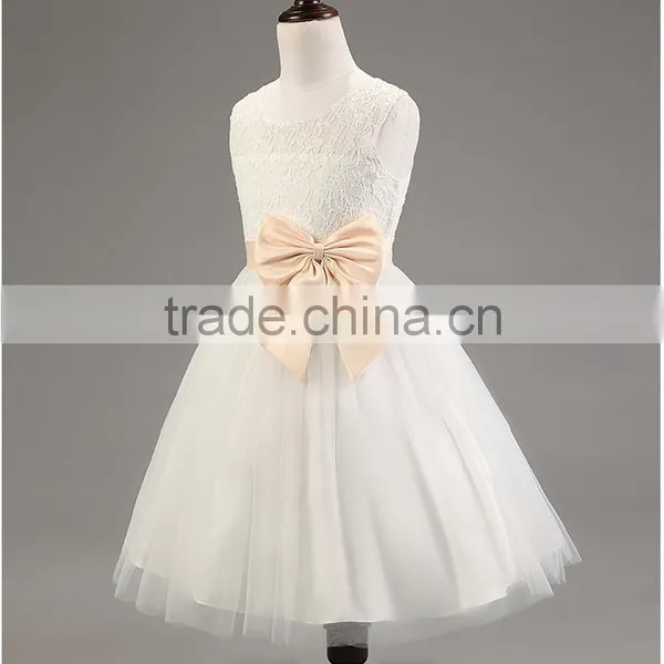 Lastest Wholesale Elegant Girls Chiffon Party Hand Embroidery Dresses TR-WS31 photo-6
