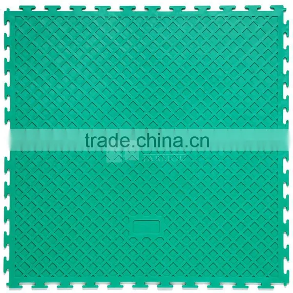 Exercise Mats / Gym Flooring/Fitness Tiles/Plastic Pvc Interlocking Flooring & Accessories photo-5