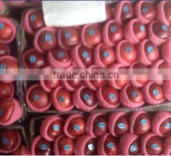 Chinese Huaniu Apple Exporting photo-5