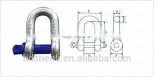 M4 Electric Galvanized Carbon Steel D Shape Shackle photo-3