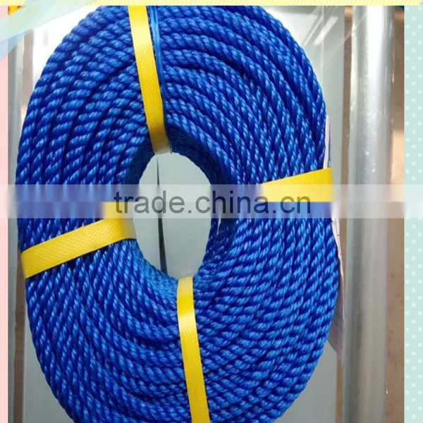 Blue PE Rope