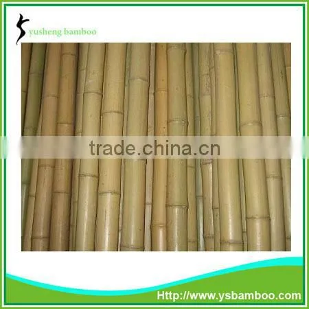 Bamboo Fencing Poles