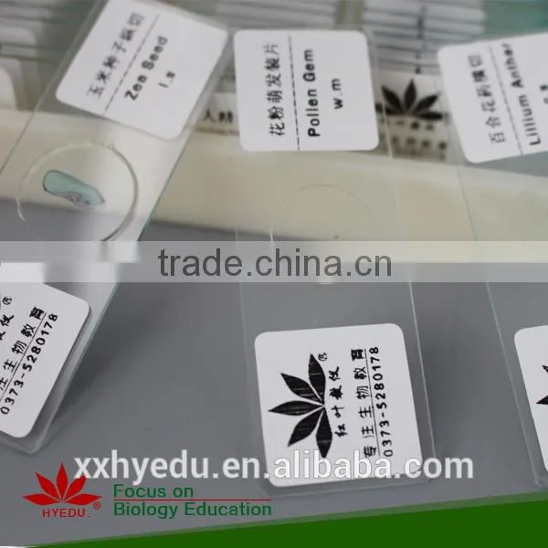 200kinds Prepared Slides , Mixed Glass Prepared Slides photo-6