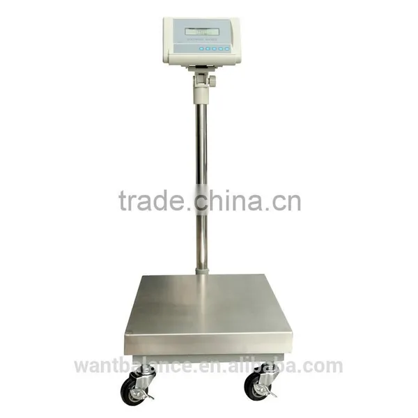 300kg Scale Model photo-2