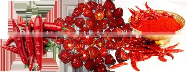 Mundu Red Chilles From India photo-2