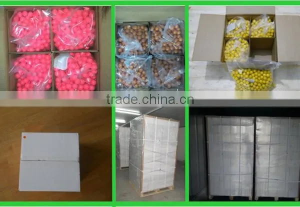 Wholesale Biodegradable Paintball Carton Prices photo-2