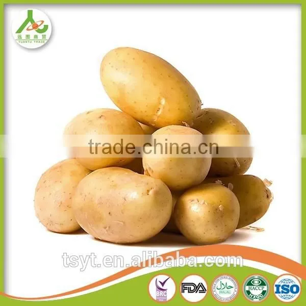 2016 Cheap Price Fresh Holland Potato photo-2