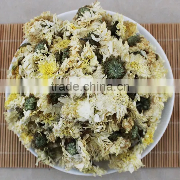 2015yr Huangshan Tribute Chrysanthemum photo-3