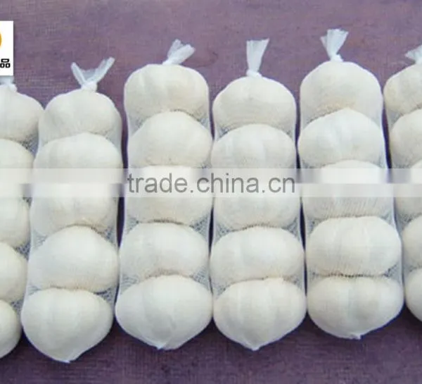 Nuisanceless Dried Pure White Garlic photo-4