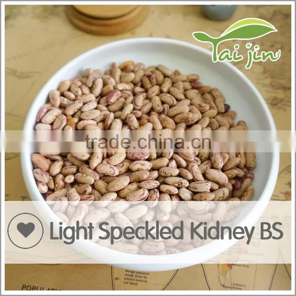 New Arrival Borlotti Bean Market Price photo-6