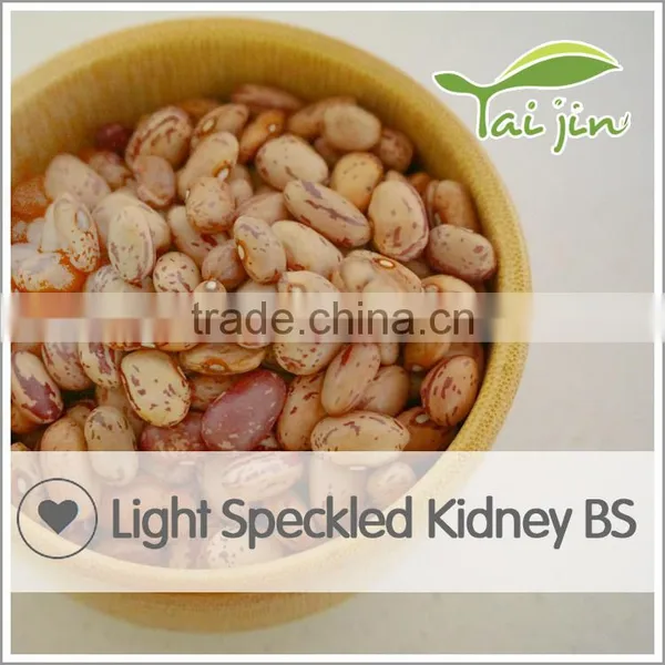 New Arrival Borlotti Bean Market Price photo-2