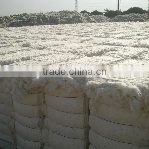 Raw Cotton photo-6