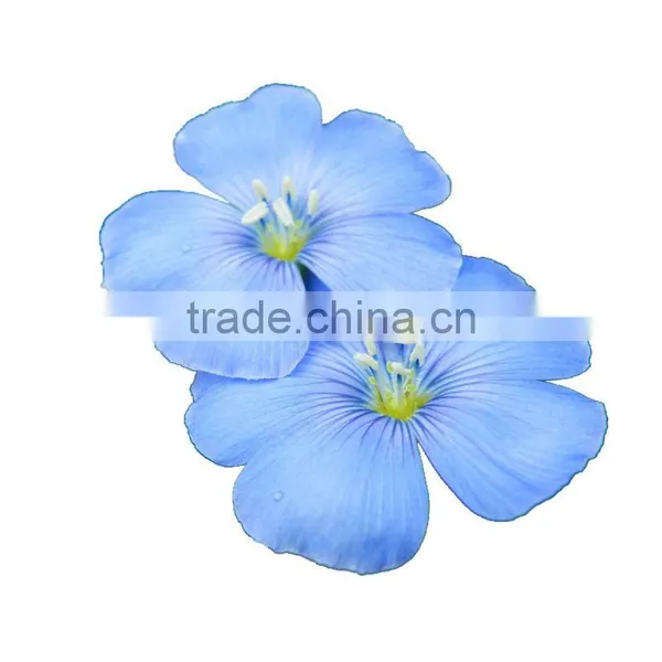 China Supplier Organic Flaxseed Oil (alpha Linolenci Acid) Omega 3 Oil Refined photo-3