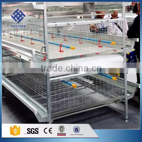 30 Years' Factory Supply Automatic Chicken Cage Chicken Coops photo-2