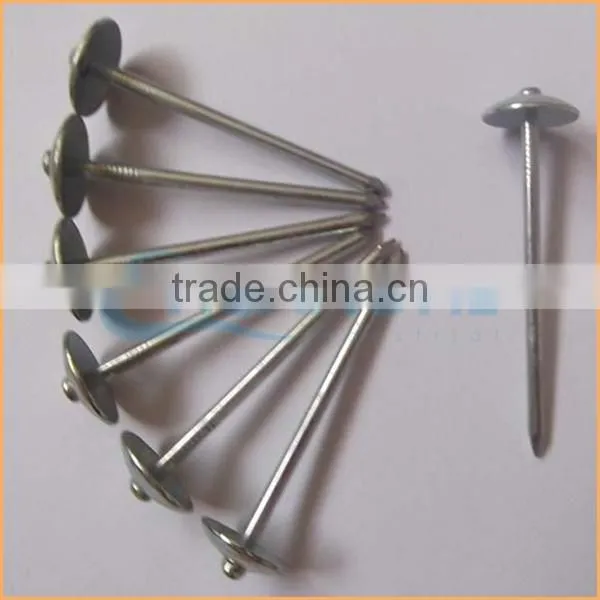 Top Quality Umbrella Head Screw Rod Roofing Nails Trusted Chuanghe Suppliers From Com photo-6