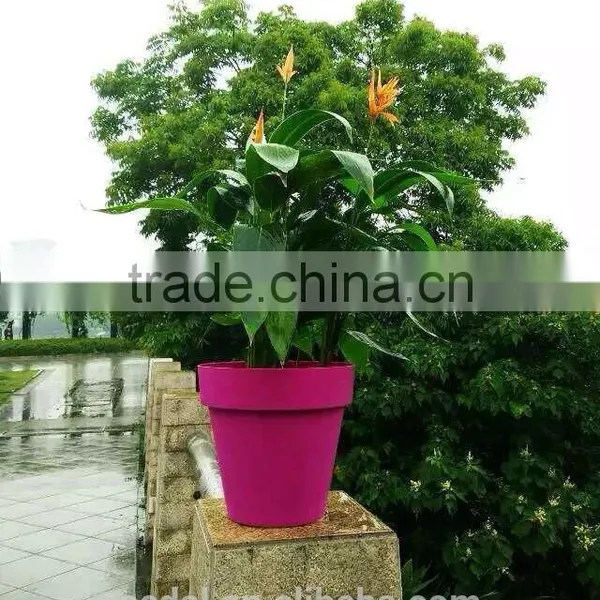 Large Size Plastic Planter Pot Paint Design New Products photo-4