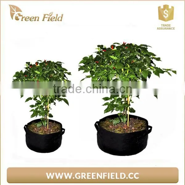 New 2017 Wholesale Polyester Felt Garden Grow Bags 5,10,15,20 Gallon Felt Large Plant Pots photo-5