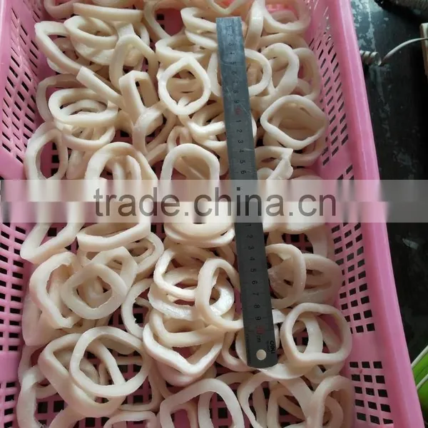 Frozen Squid Ring With Chemical Treated and Skin off photo-3