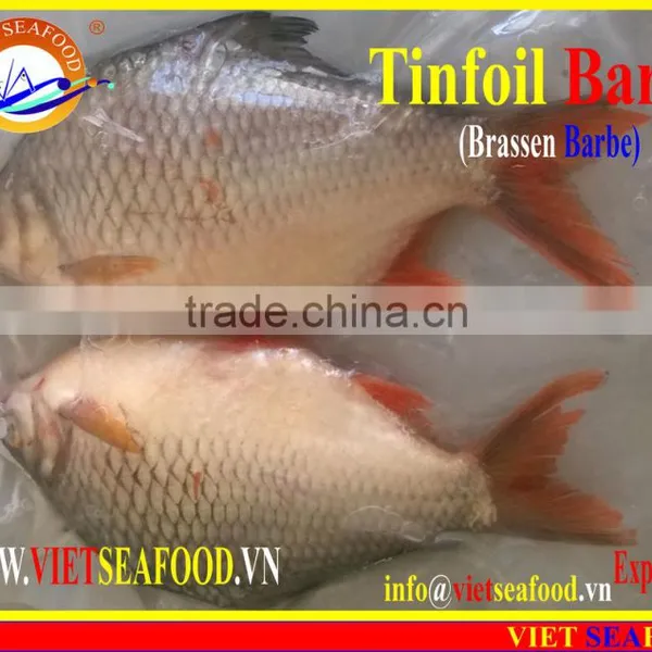 FROZEN W/R RED TAIL TINFOIL BARB