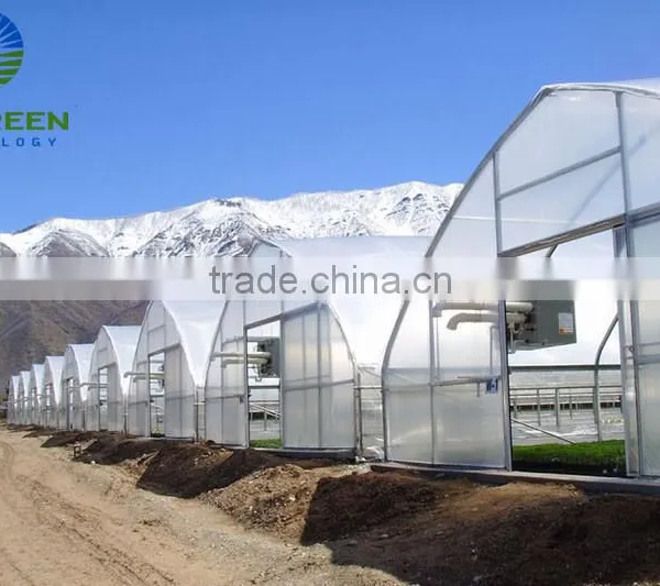 Various Agricultural Multi Span Polycarbonate Greenhouse photo-3