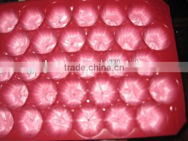 Popular Wholesale USA Mexico Canada High Quality Custom Metric Pet Fruit Tray Liners photo-5