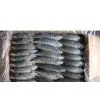 Frozen Indian Mackerel